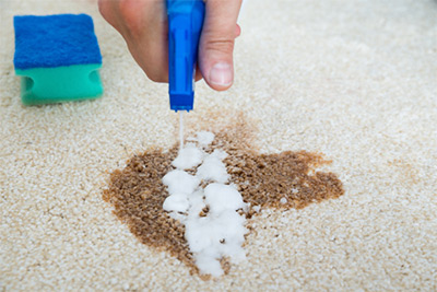 person spot cleaning a stain on carpet