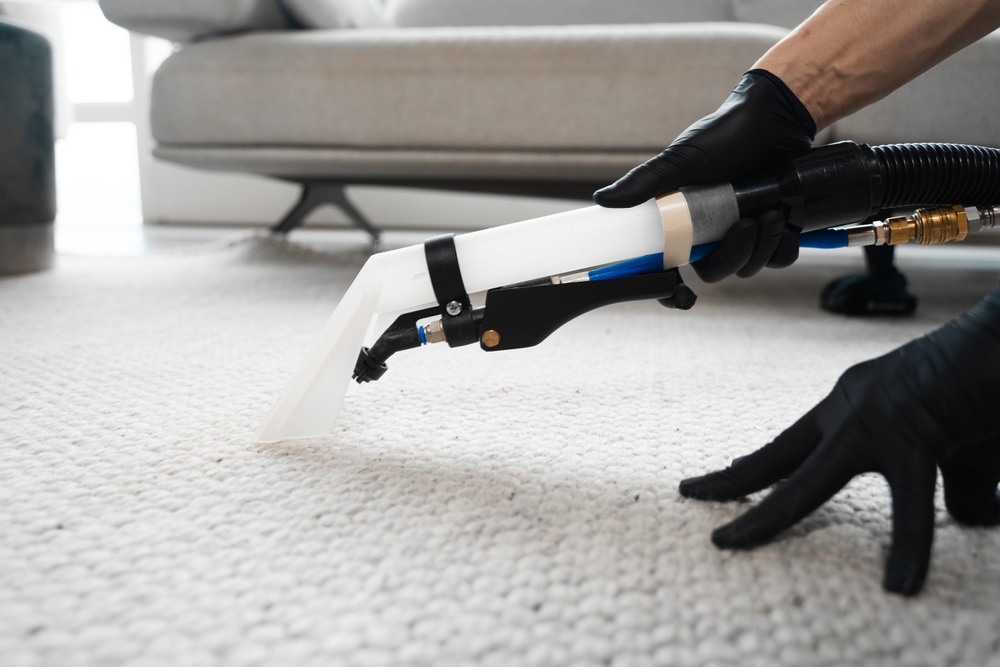 5 Reasons Why Professional Carpet Cleaning is Worth the Investment