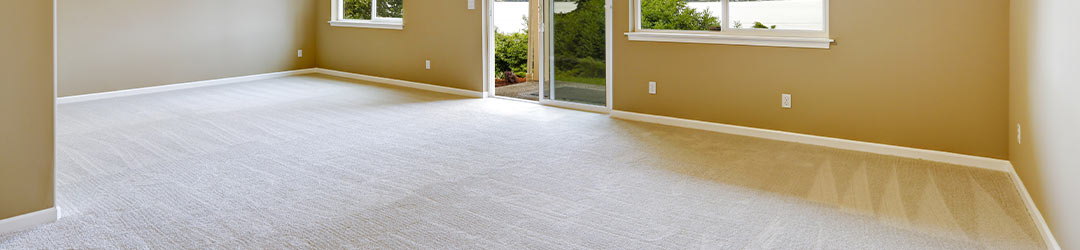 Carpet-Cleaning-Services-in-Holmdel-NJ