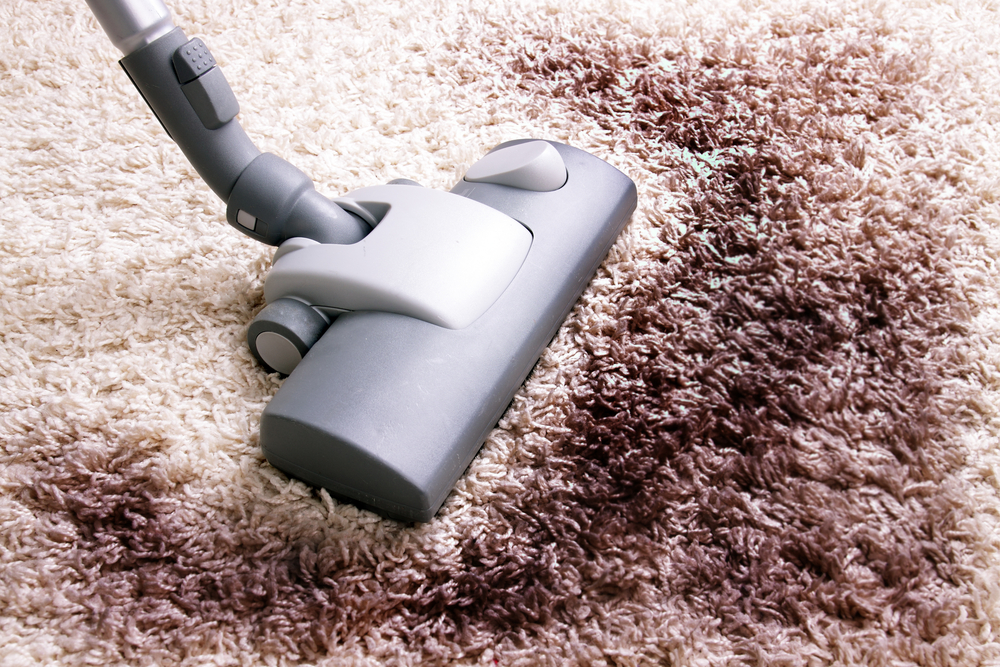 DIY Tips for Keeping Your Carpets Clean and Fresh During the Summer Months