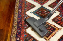 Close-up,Of,A,Vacuum,Cleaner,On,An,Oriental,Carpet
