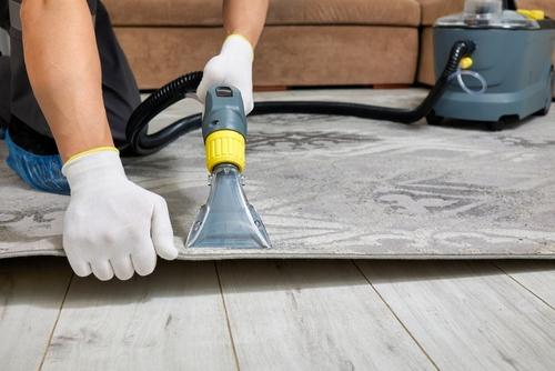Carpet Cleaning Technician in Rumson, NJ