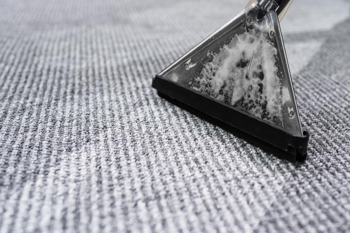 Professional carpet cleaning