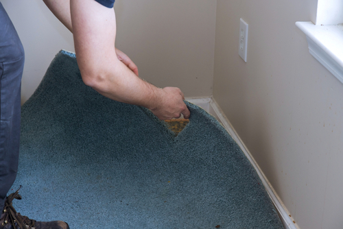 Worker,with,removing,old,carpet,in,a,living,room
